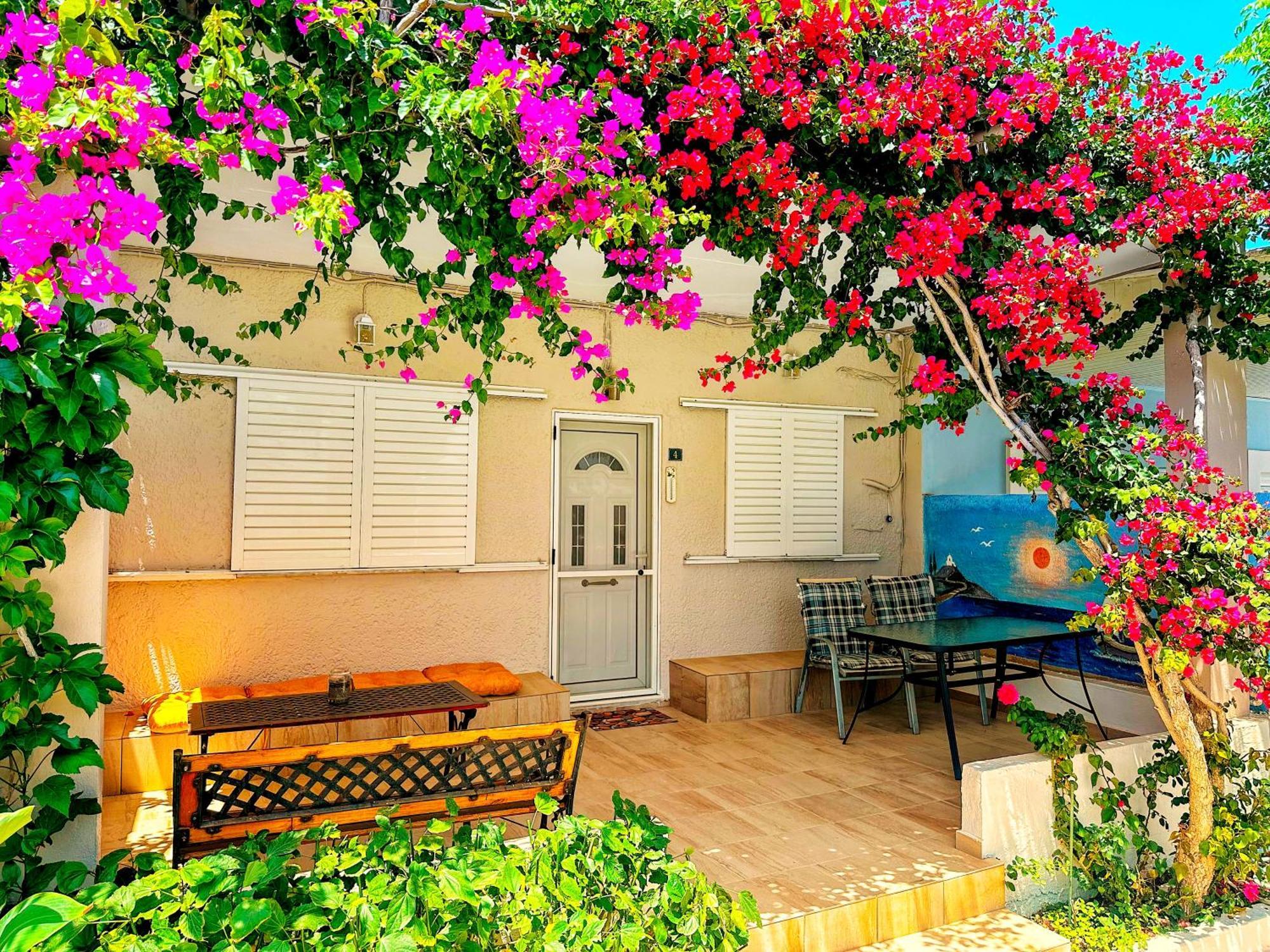 Salora Studio-Apartments Archangelos  Bagian luar foto
